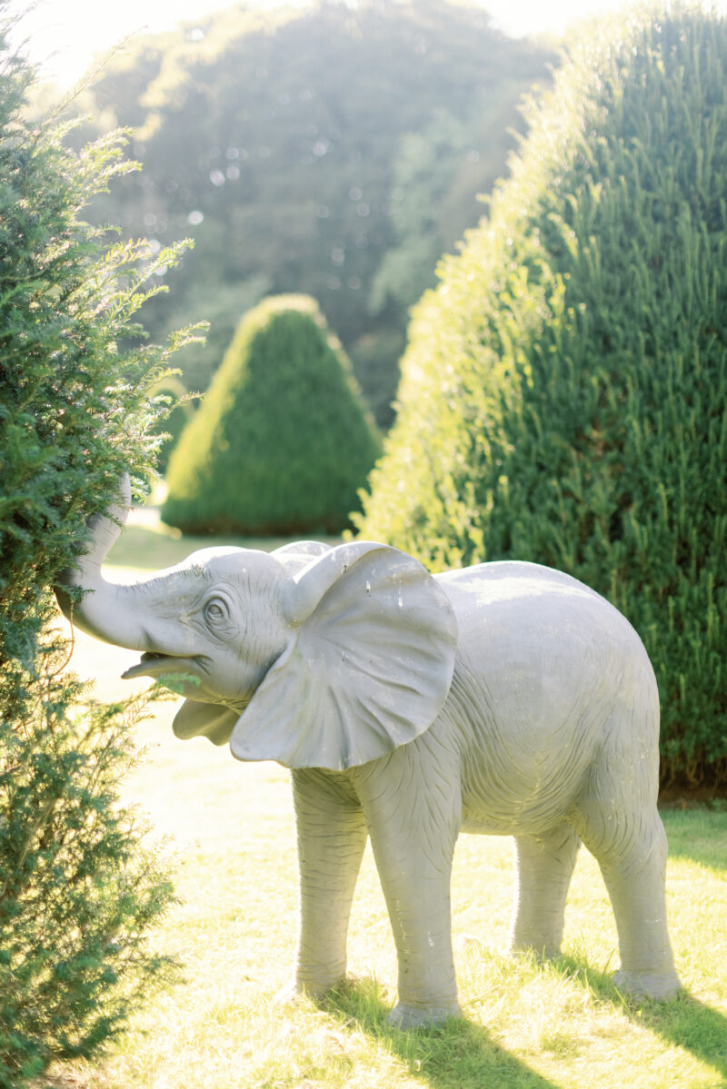 Elephant in the Yews