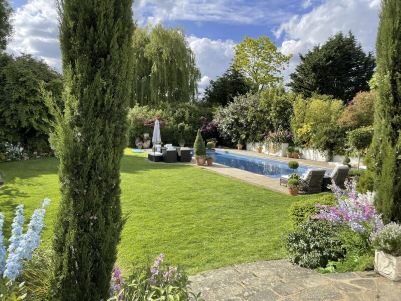 Garden plants swimming manicured lawn fir pool trees furniture TV filming location hire lodge London 16