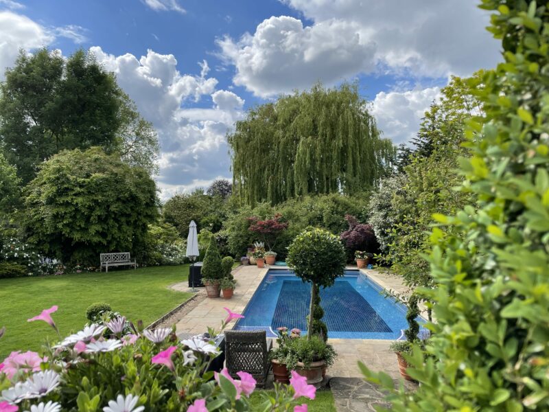 Garden plants swimming pool ornamental trees furniture maincured lawn TV filming location hire lodge London 18