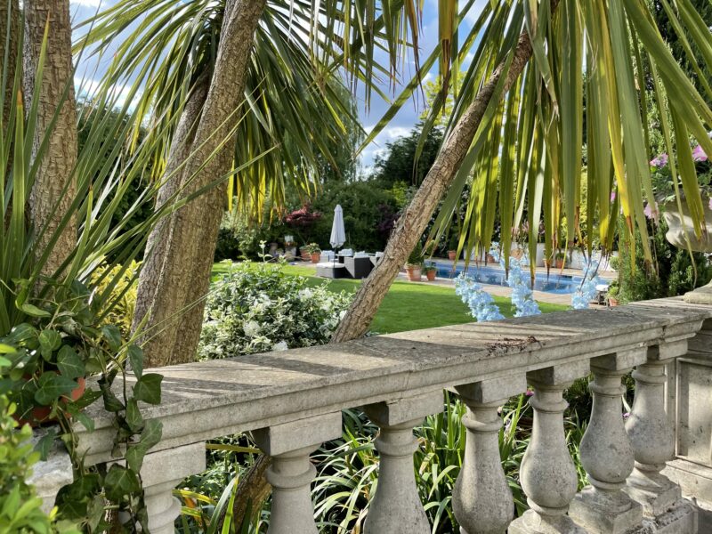Palm tree garden balustrade terrace pool lawn TV filming location hire lodge London 29