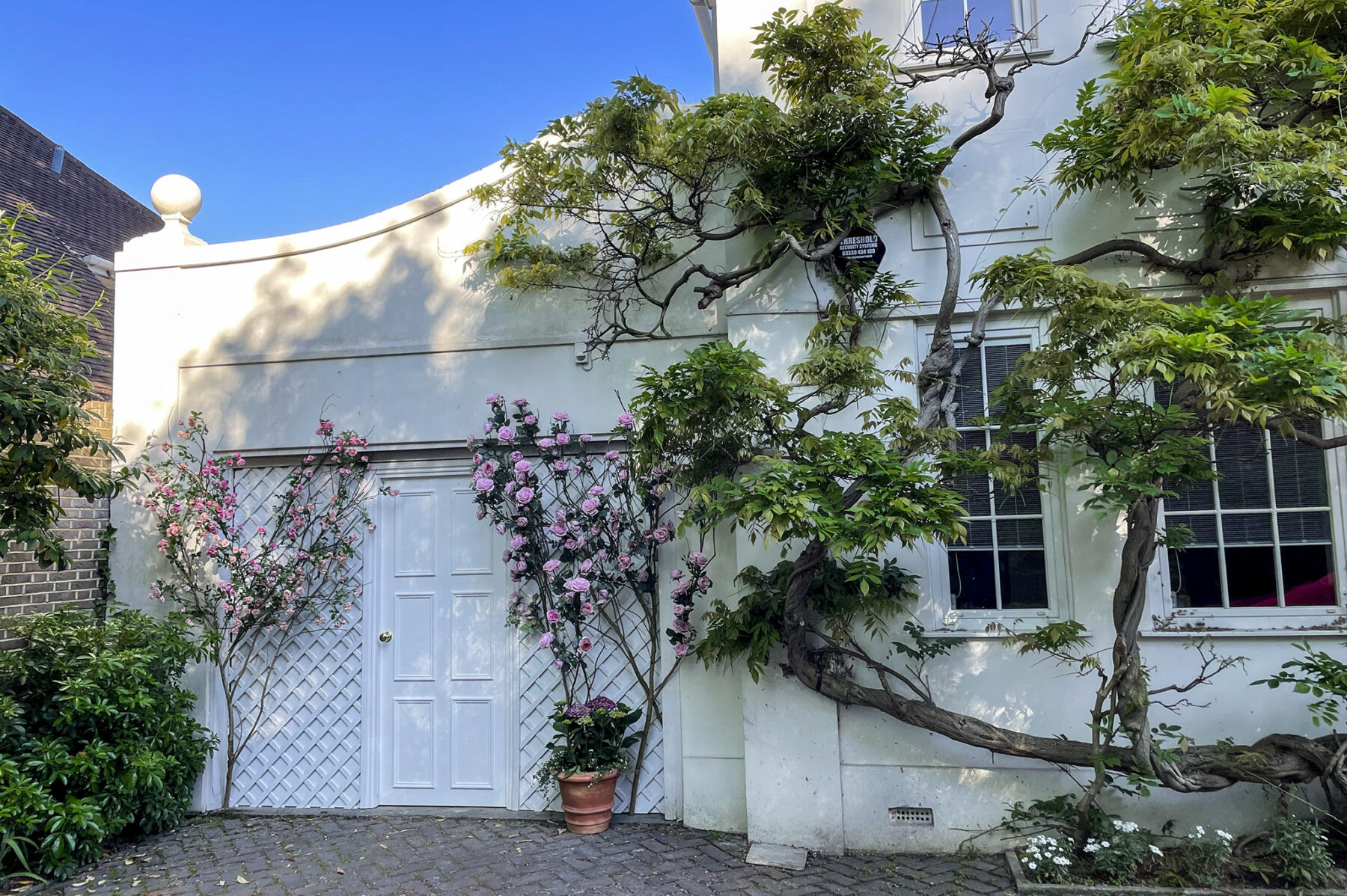 Double garage driveway wisteria roses filming location hire lodge London 8
