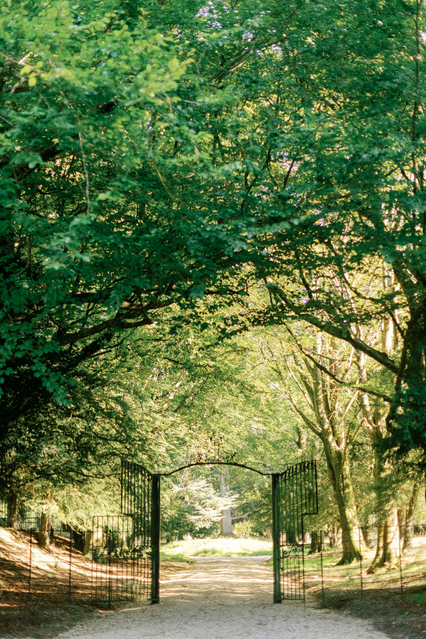 Gates to the Dower House